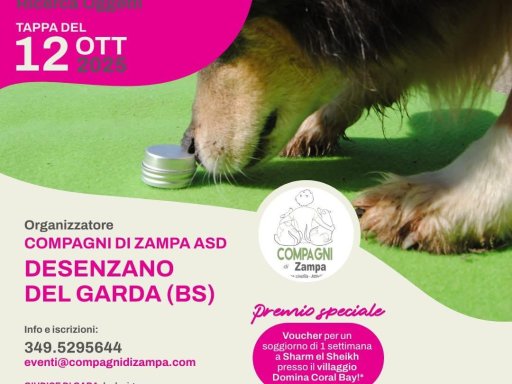 Gara Nazionale FICSS D.O.R.O.