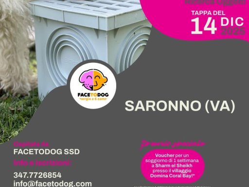 Gara Nazionale FICSS D.O.R.O