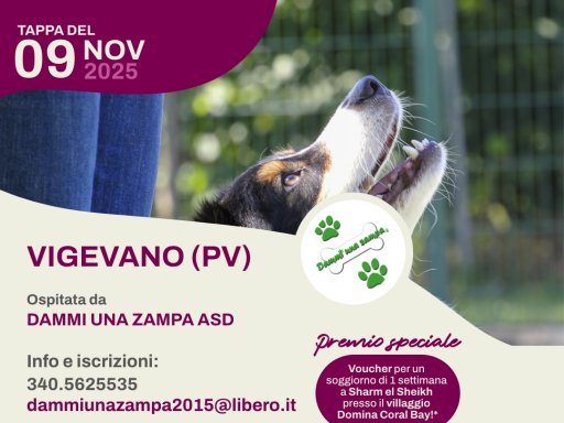 Gara Nazionale FICSS Rally-O®