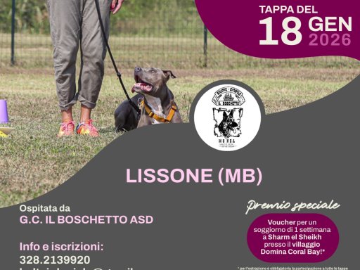 Gara Nazionale FICSS Rally-O®