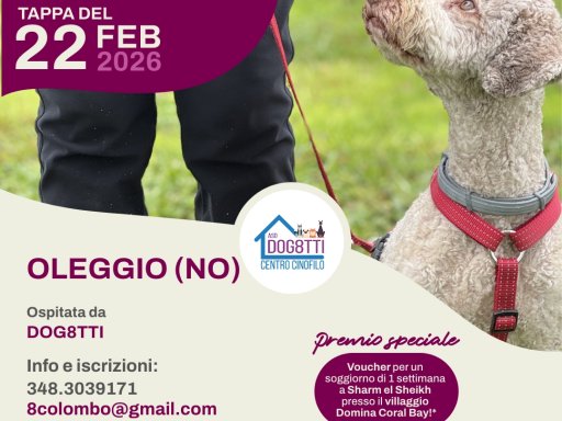 Gara Nazionale FICSS Rally-O®