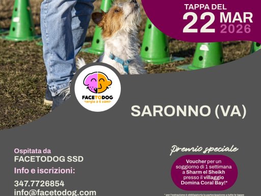 Gara Nazionale FICSS Rally-O®