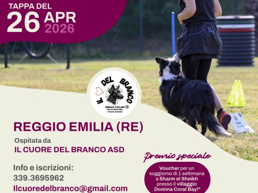 Gara Nazionale FICSS Rally-O®