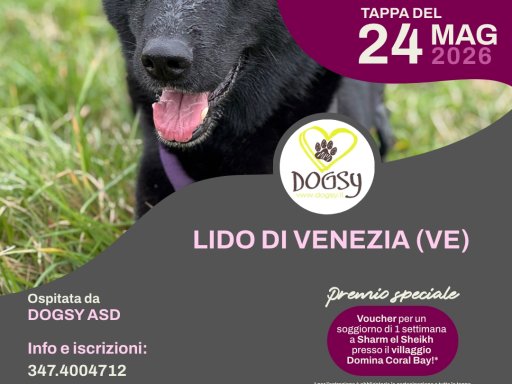 Gara Nazionale FICSS Rally-O®