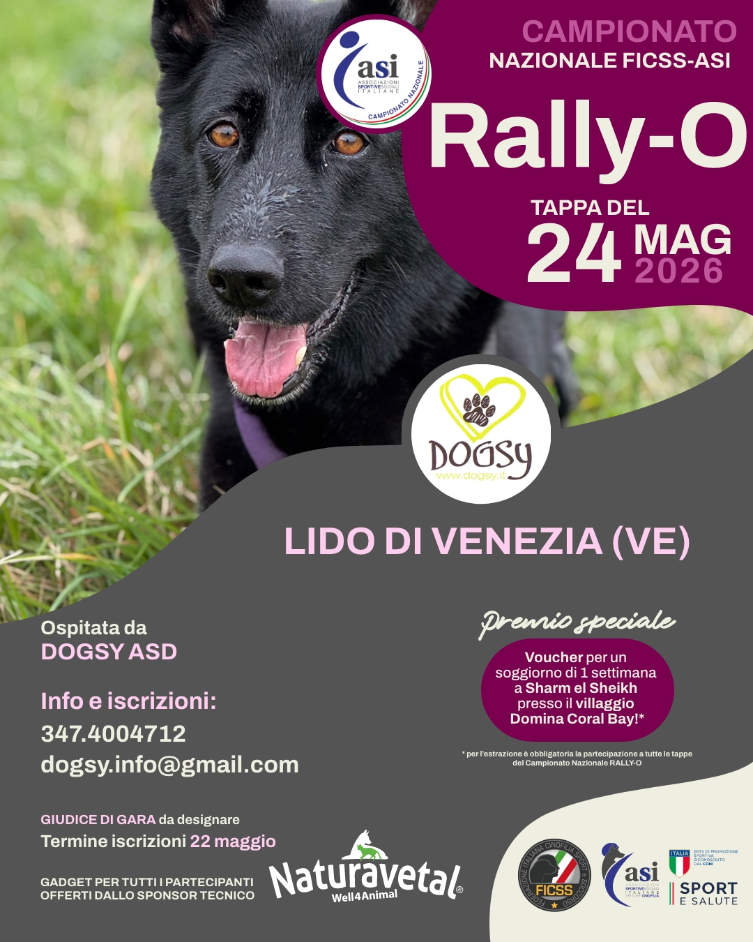 Gara Nazionale FICSS Rally-O®