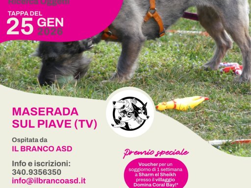 Gara Nazionale FICSS D.O.R.O