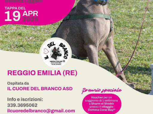 Gara Nazionale FICSS D.O.R.O