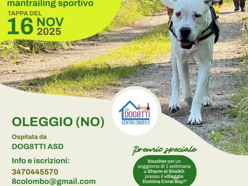 Gara Nazionale FICSS Mantrailing sportivo