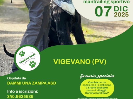 Gara Nazionale FICSS Mantrailing sportivo