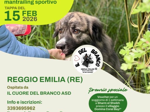 Gara Nazionale FICSS Mantrailing sportivo