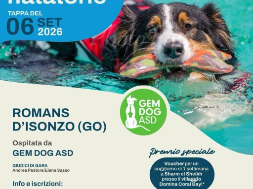 Gara Nazionale FICSS Attività Natatorie