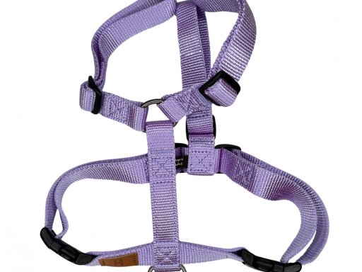 Lavanda nuovo colore Haqihana