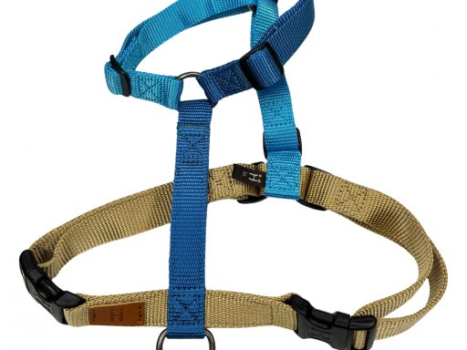 Nuova pettorina Caribbean Bay